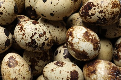 Many fresh quail eggs as background, closeup