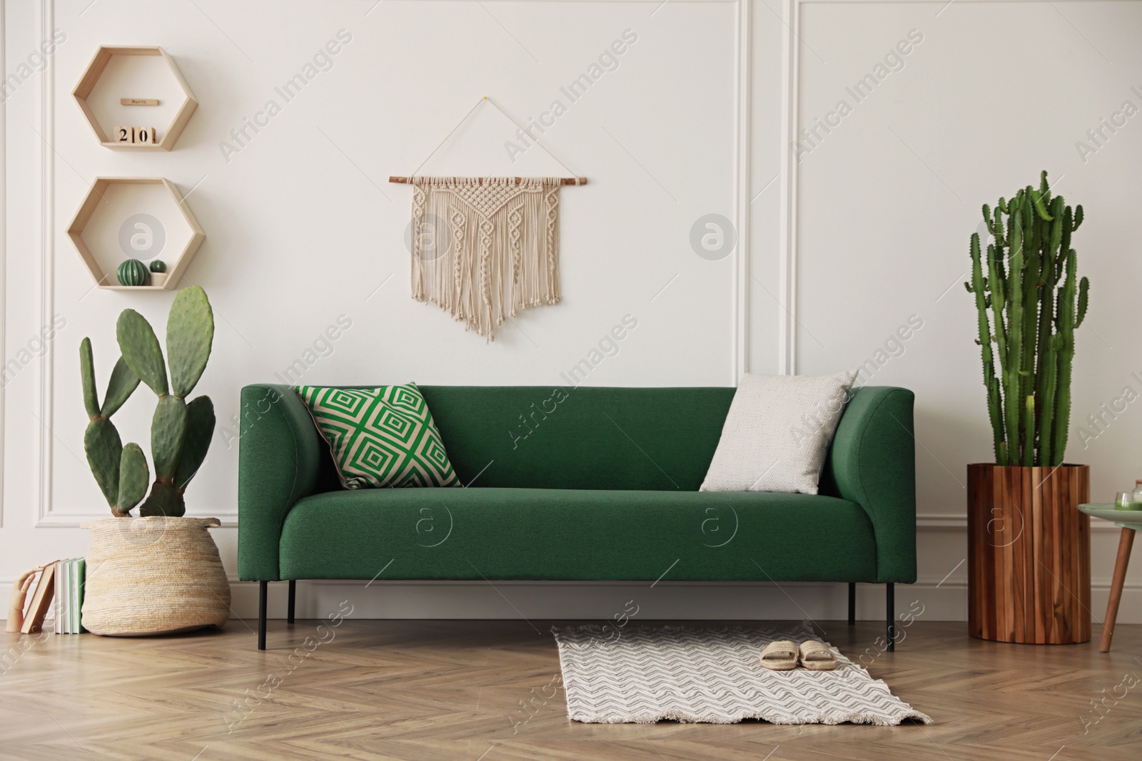 Photo of Stylish living room interior with beautiful potted cacti and modern furniture