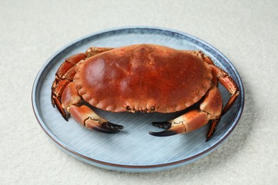 Photo of Delicious boiled crab on white textured table