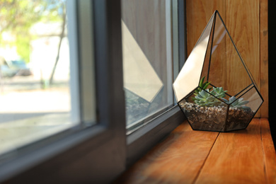 Florarium with succulents on wooden windowsill indoor