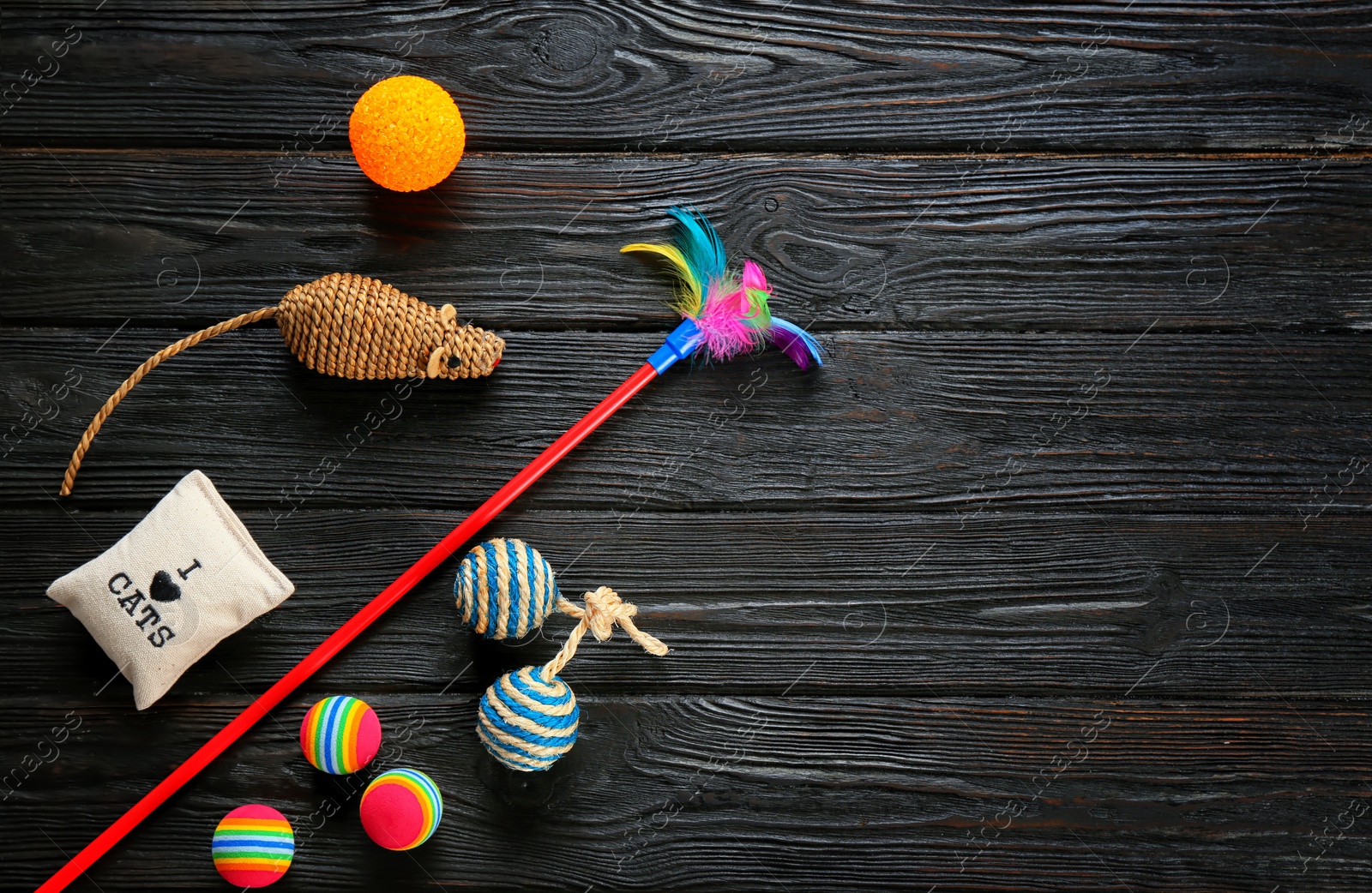 Photo of Cat's accessories on wooden background