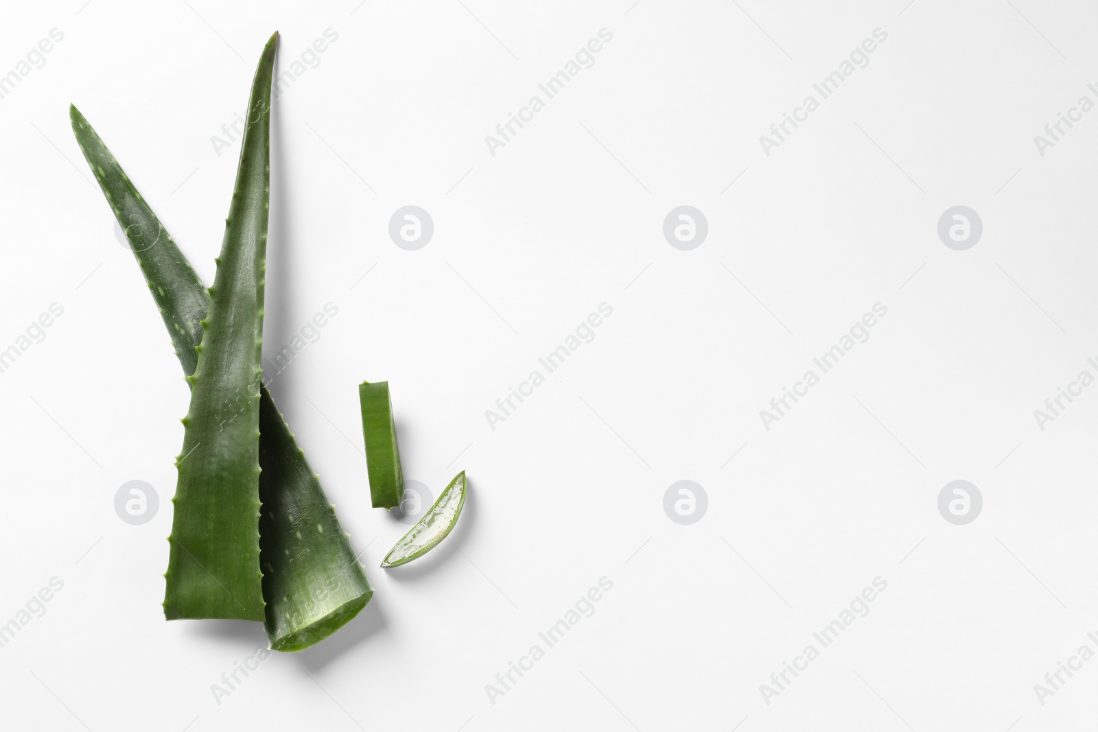 Photo of Cut aloe vera plant on white background, flat lay. Space for text