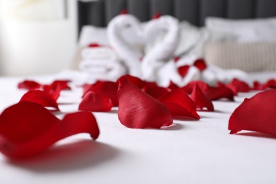 Honeymoon. Swans made with towels and beautiful rose petals on bed, selective focus