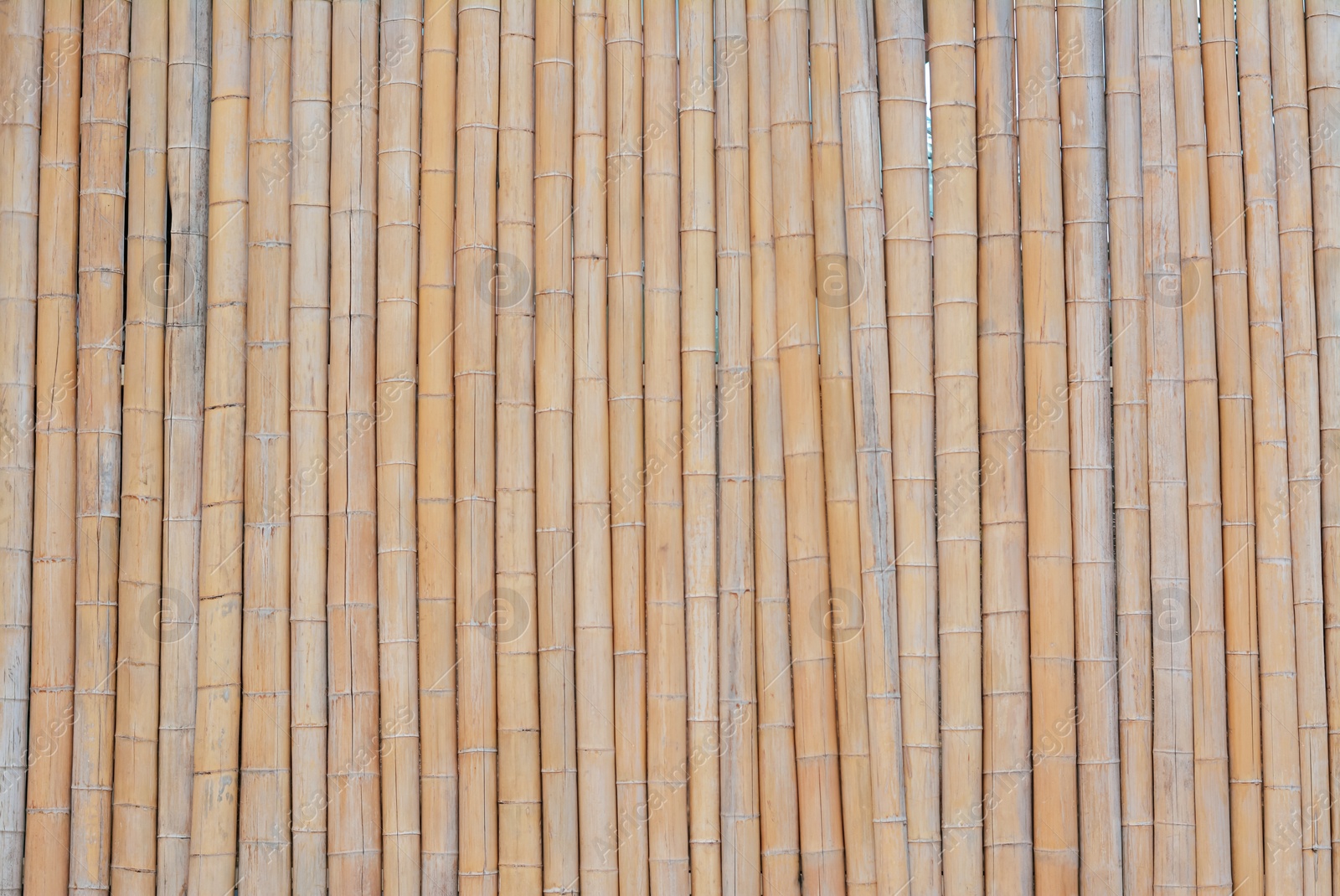 Photo of Fence made with dry bamboo sticks as background, closeup