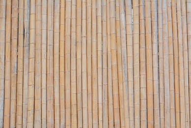 Photo of Fence made with dry bamboo sticks as background, closeup