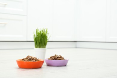 Photo of Wet pet food and green grass on floor indoors, space for text