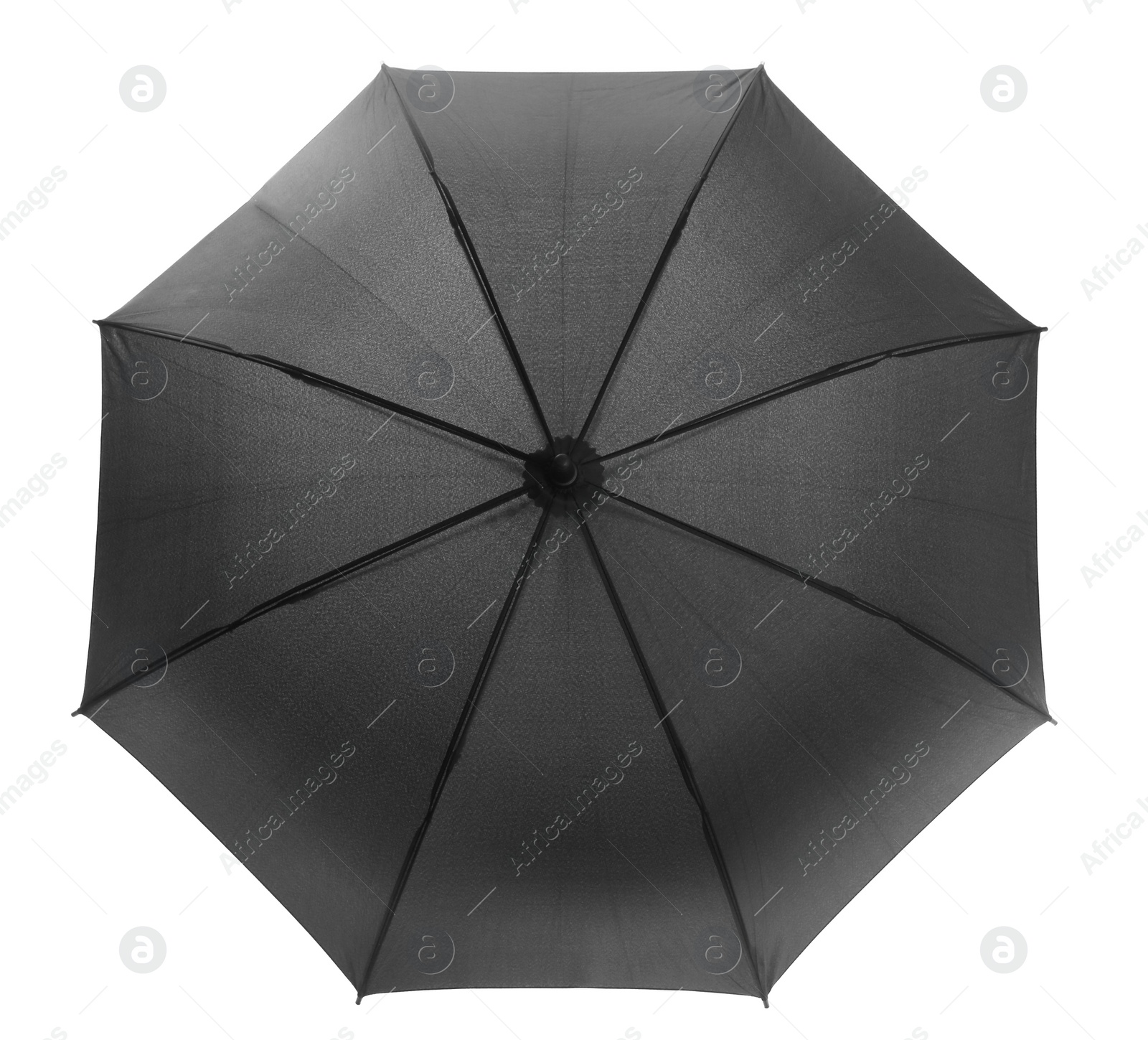 Photo of One open black umbrella isolated on white