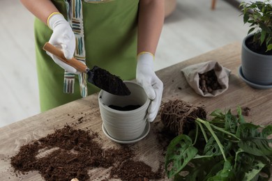 Woman filling flowerpot with soil at table indoors, closeup. Houseplant care