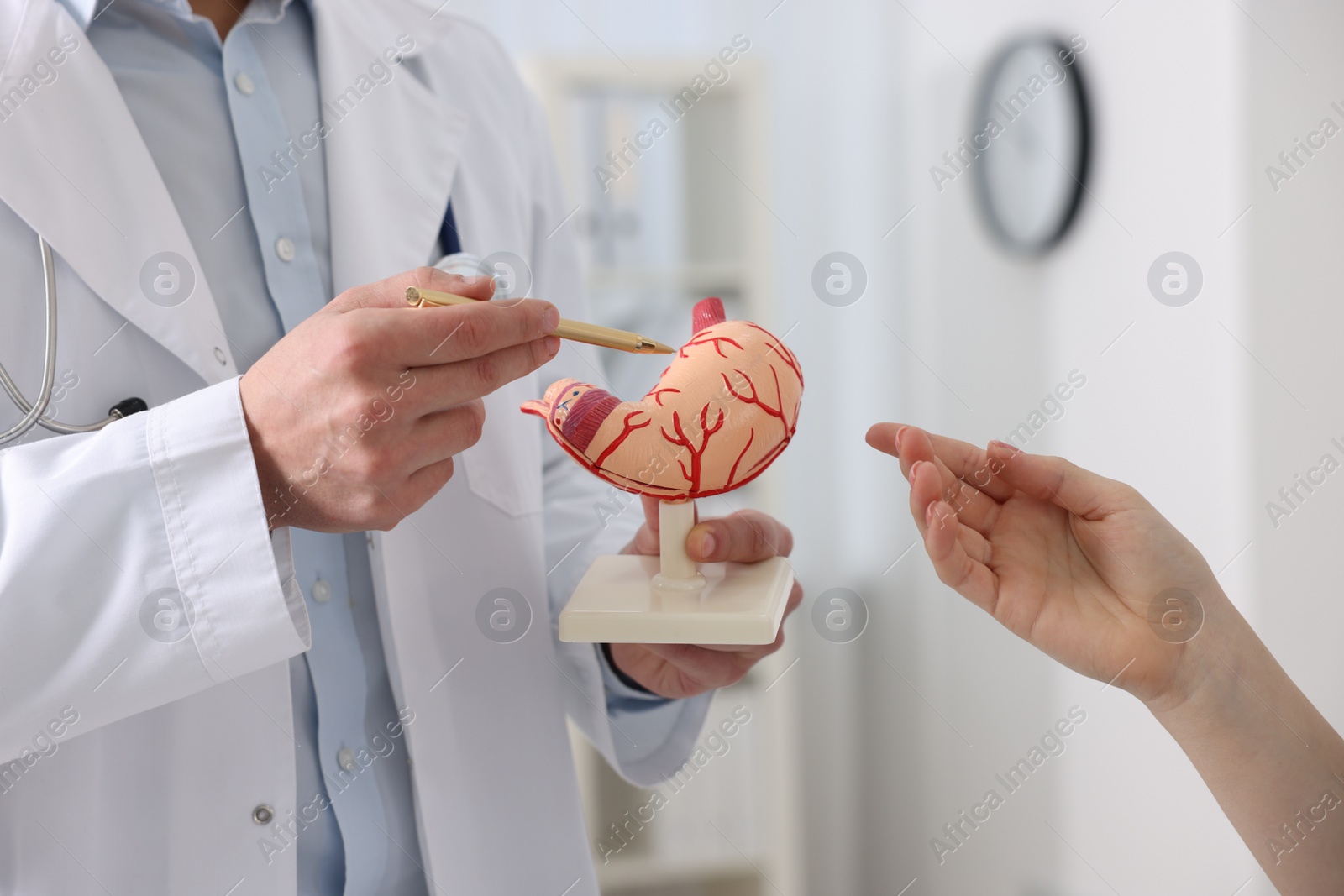 Photo of Gastroenterologist with human stomach model consulting patient in clinic, closeup