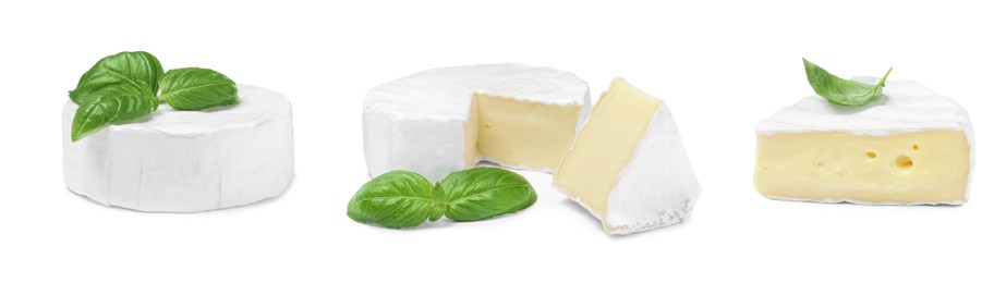 Image of Set with delicious brie cheese on white background. Banner design