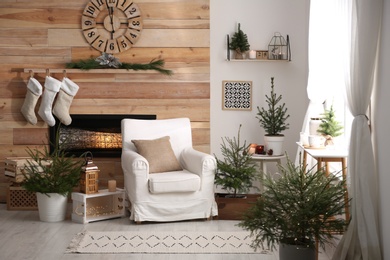 Potted fir trees and Christmas decorations in room with fireplace. Stylish interior design