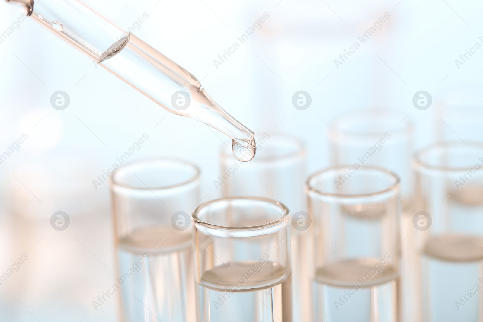 Photo of Laboratory analysis. Dripping liquid from pipette into glass test tube on blurred background, closeup