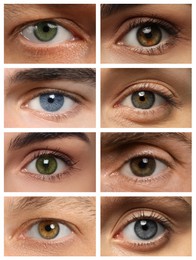 Image of Collage with photos of people with beautiful eyes of different colors