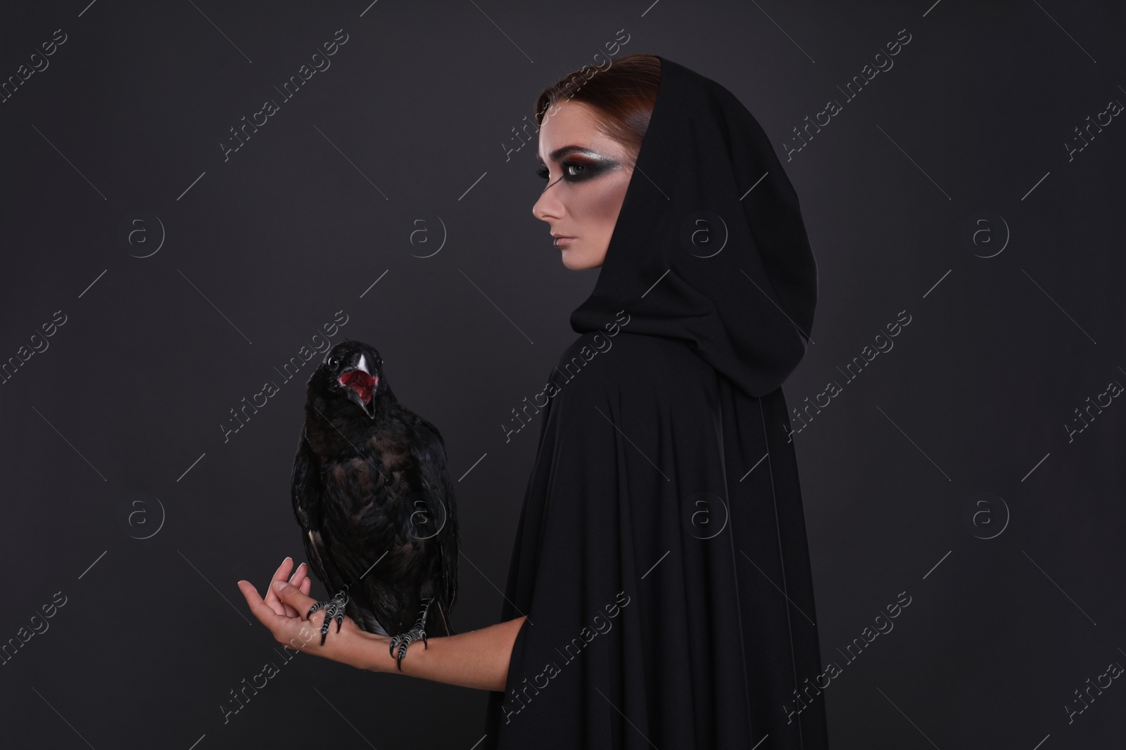 Photo of Mysterious witch with raven on black background