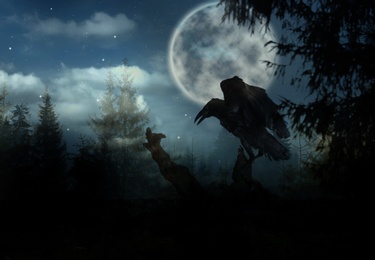 Image of Creepy black crow in scary dark forest on full moon night
