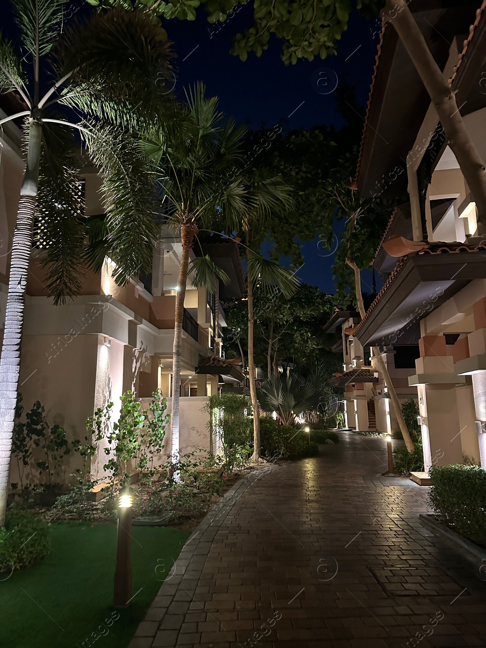 Photo of Beautiful view of pathway surrounded by buildings and trees in city at night