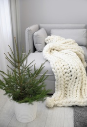 Photo of Stylish living room interior with little fir tree and knitted blanket
