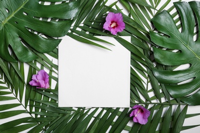 Photo of Flat lay composition with tropical leaves and Hibiscus flowers on white background. Space for text