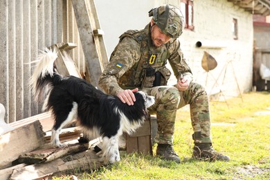 Photo of Ukrainian soldier petting stray dog outdoors on sunny day