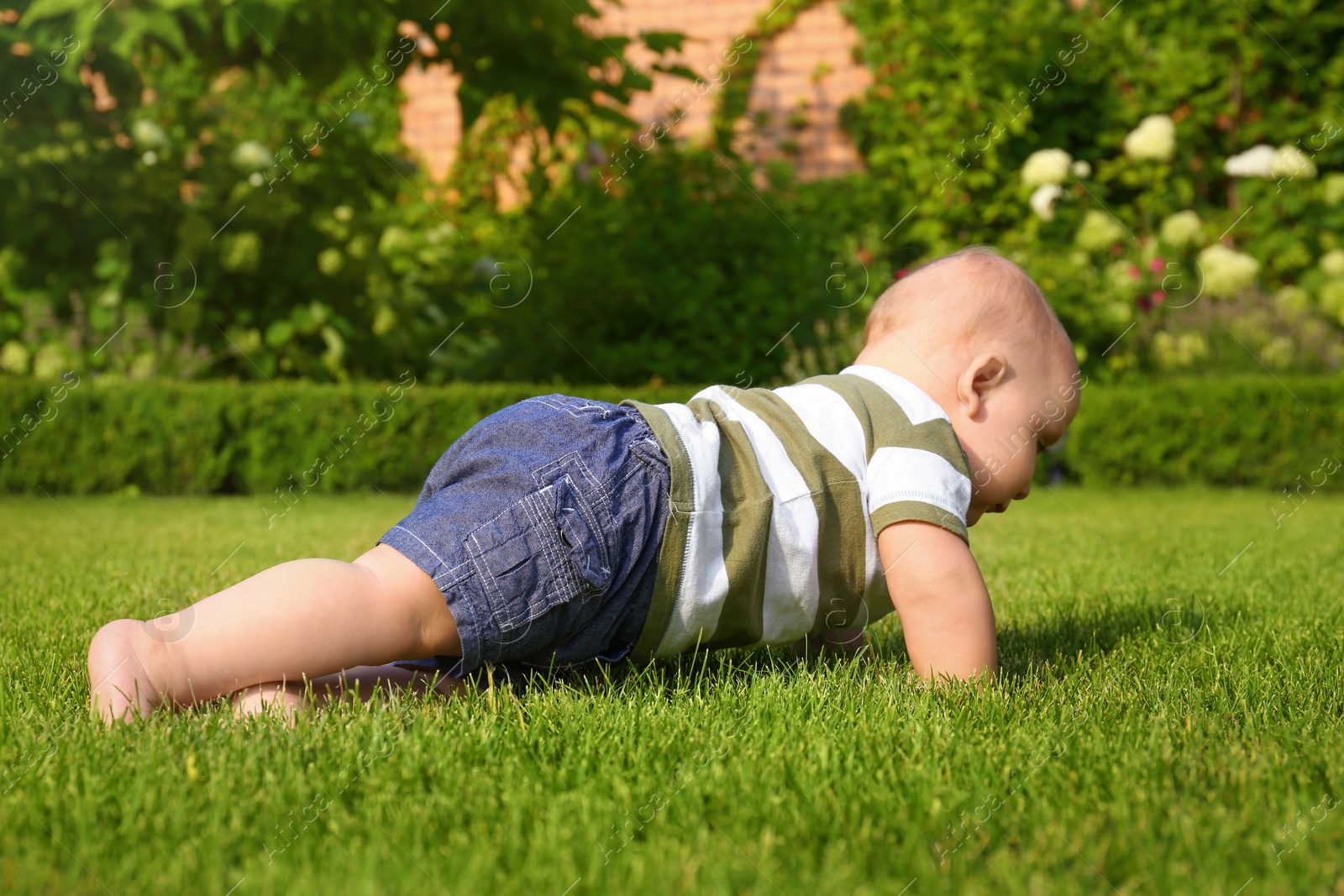 Photo of Adorable little baby crawling on green grass outdoors