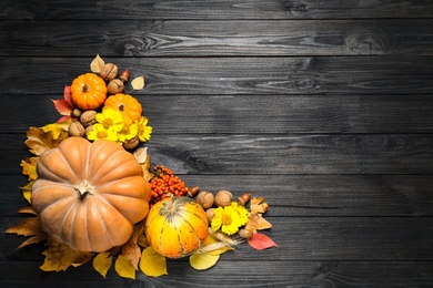 Photo of Flat lay composition with ripe pumpkins and autumn leaves on black wooden table, space for text. Happy Thanksgiving day
