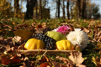 Photo of Fresh fruits and flowers in wicker basket on fallen leaves in park