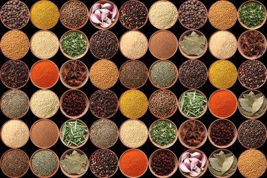 Image of Collection of different aromatic spices and herbs on black background, flat lay