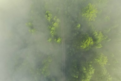 Photo of Aerial view of beautiful landscape with pathway in misty forest on autumn day