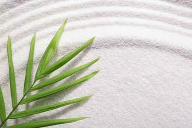 Zen rock garden. Wave pattern and green leaf on white sand, top view