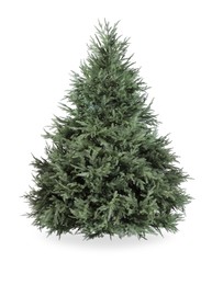 Photo of One green Christmas tree isolated on white