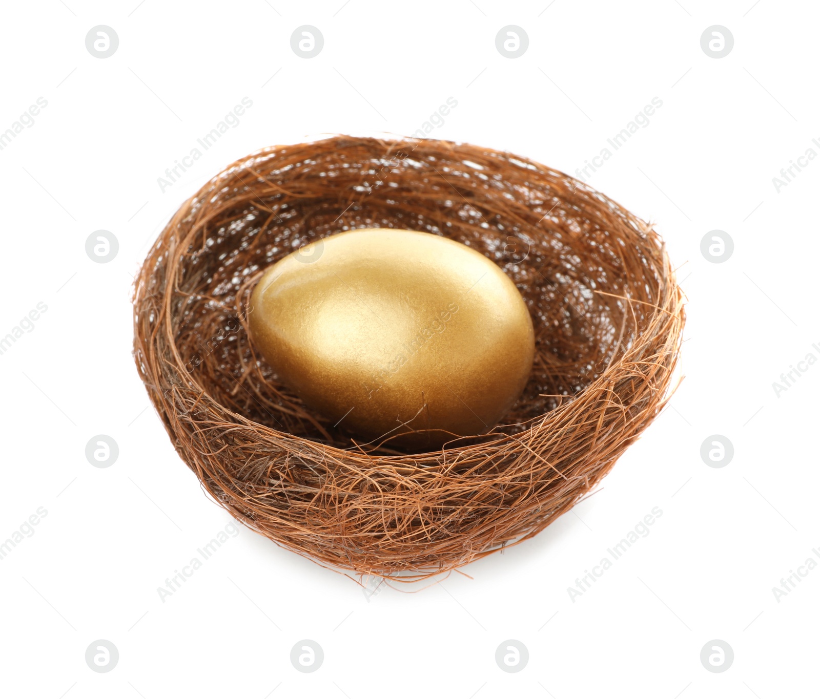 Photo of Shiny golden egg in nest on white background