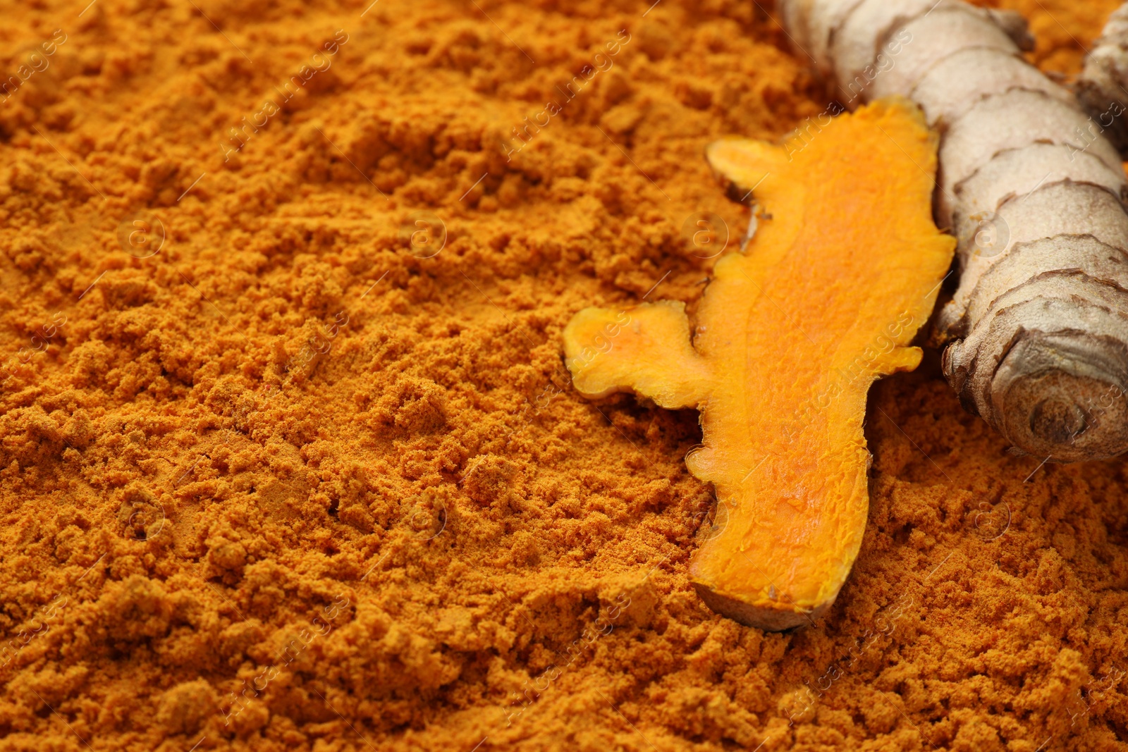 Photo of Raw roots on aromatic turmeric powder, closeup. Space for text