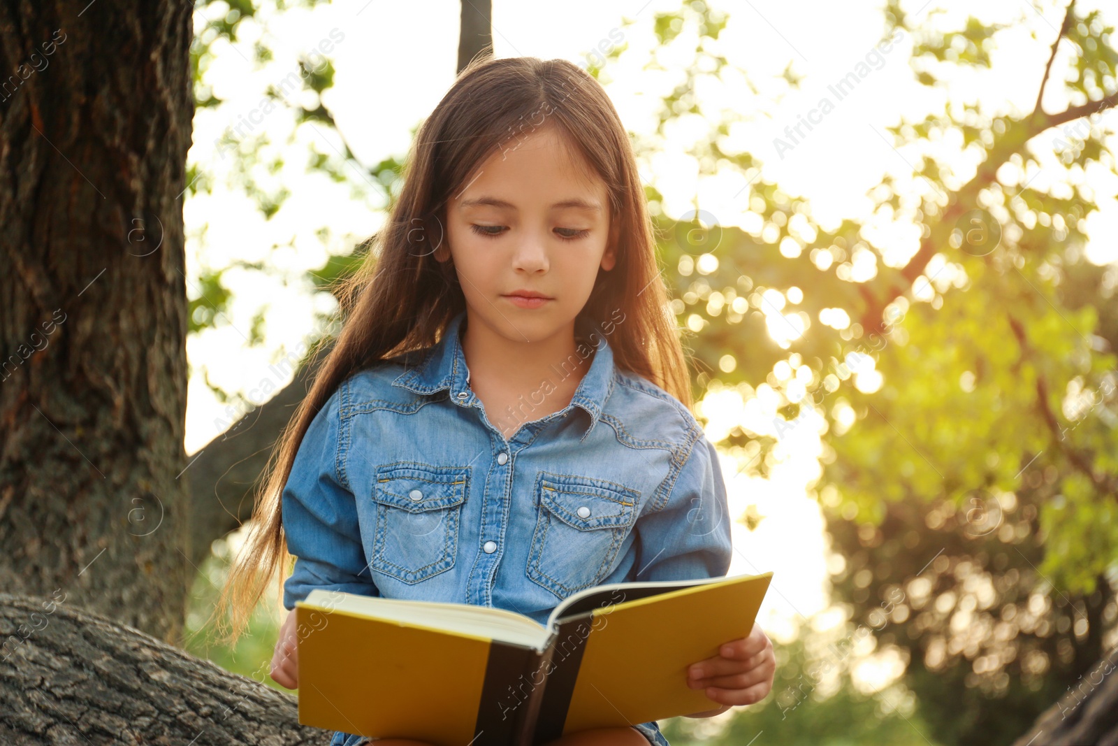 Photo of Cute little girl reading book on tree in park