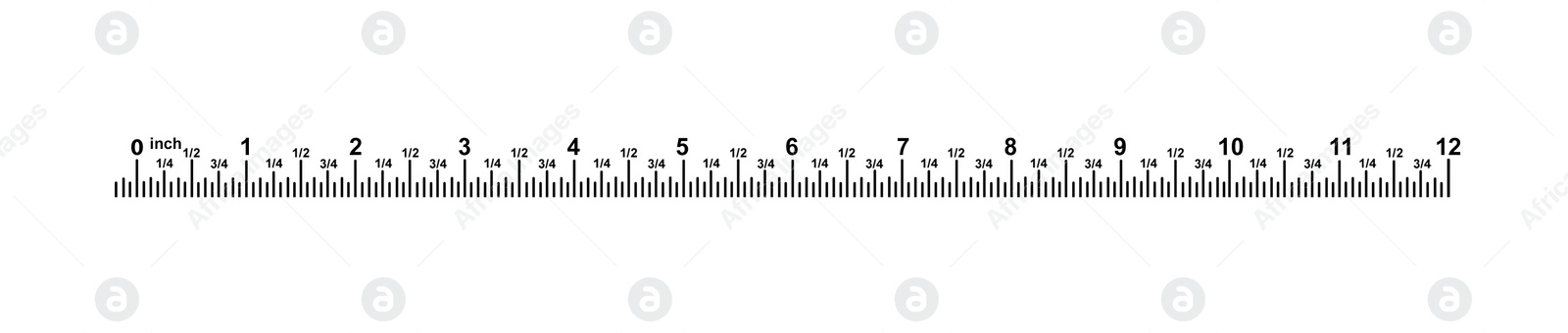 Image of Measuring length markings in inches of ruler on white background. Illustration