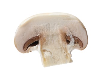 One piece of fresh mushroom isolated on white