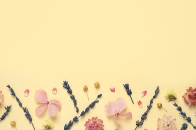 Flat lay composition with beautiful dried flowers on beige background. Space for text
