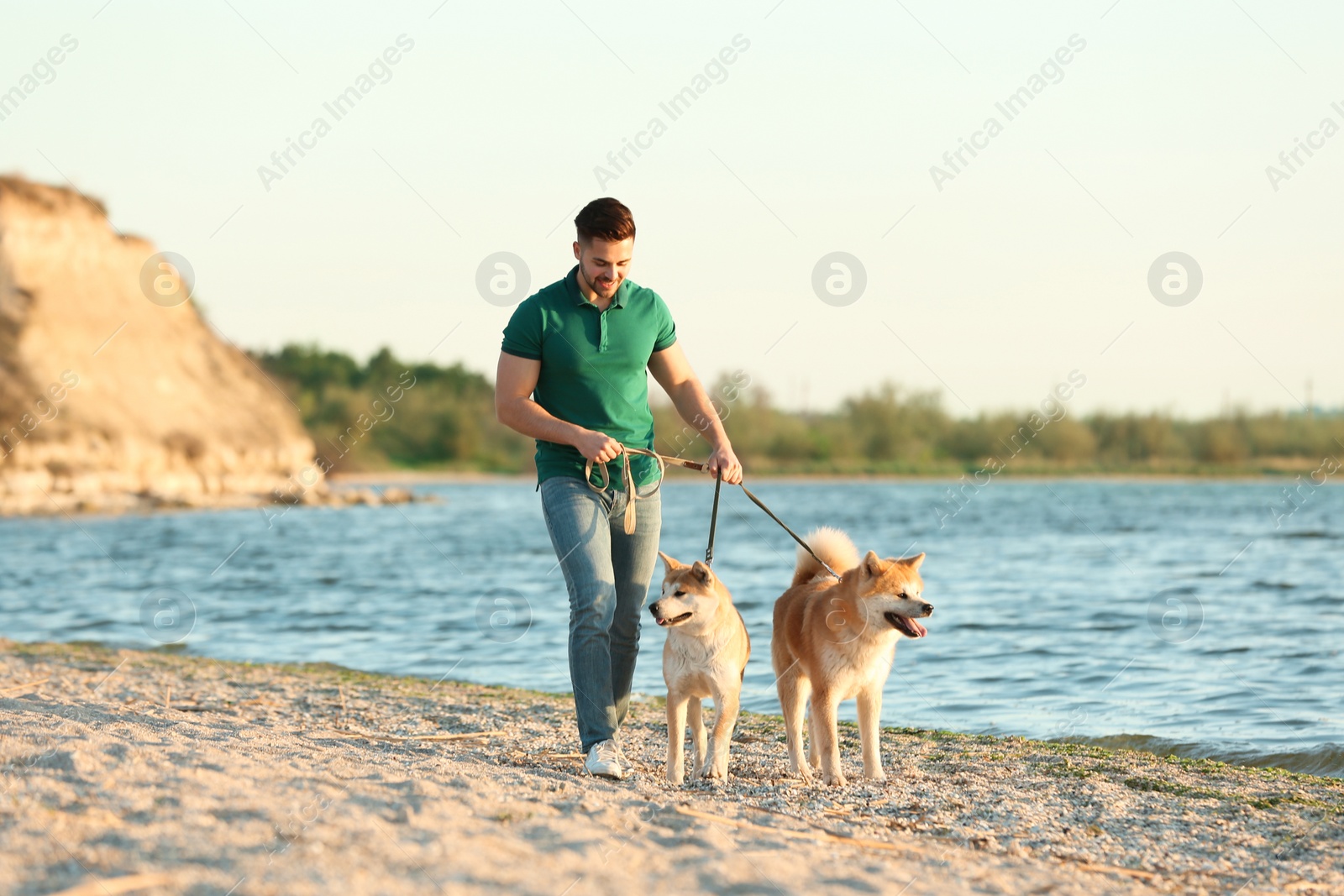 Photo of Young man walking his adorable Akita Inu dogs near river