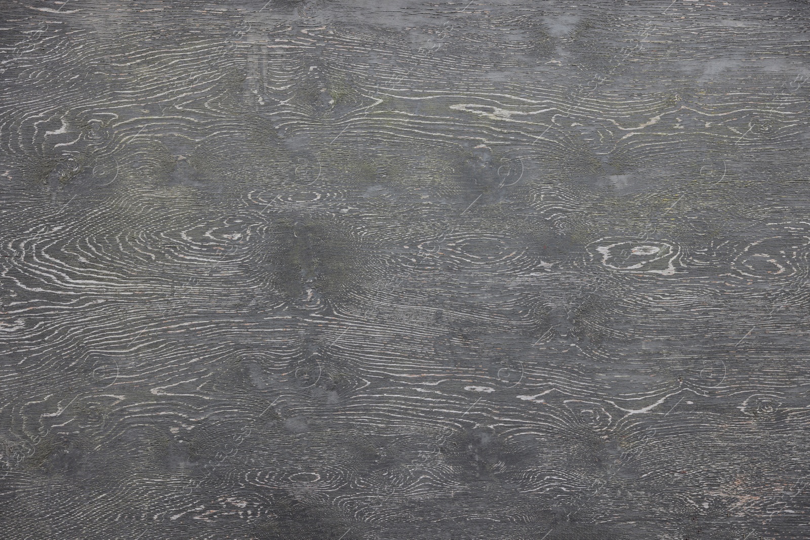 Photo of Texture of grey wooden surface as background