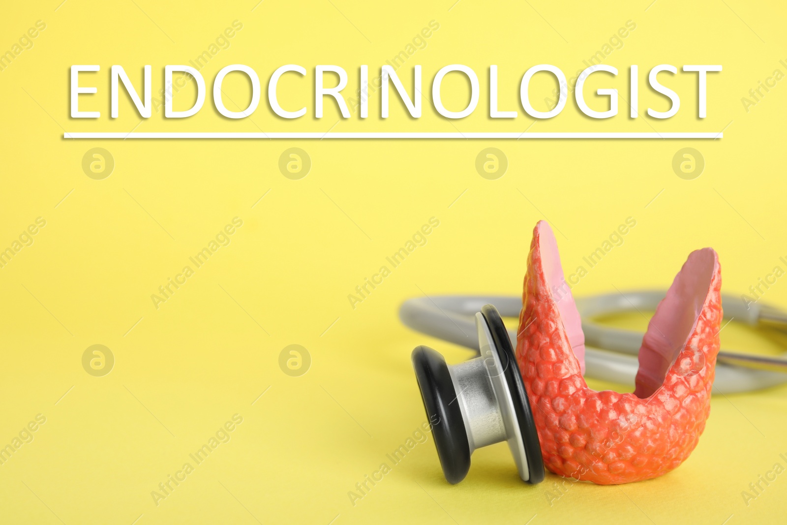 Image of Endocrinologist. Model of thyroid gland and stethoscope on yellow background, closeup. Space for text