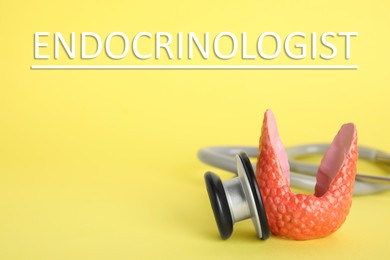 Image of Endocrinologist. Model of thyroid gland and stethoscope on yellow background, closeup. Space for text
