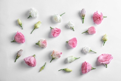 Photo of Flat lay composition with beautiful Eustoma flowers on light background