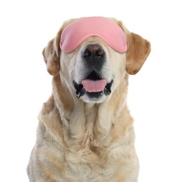 Photo of Cute Labrador Retriever with pink sleep mask on white background