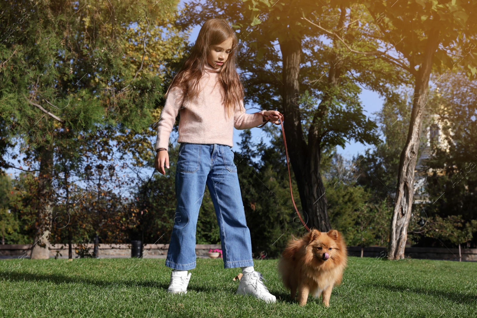 Photo of Little girl with her cute dog walking in park
