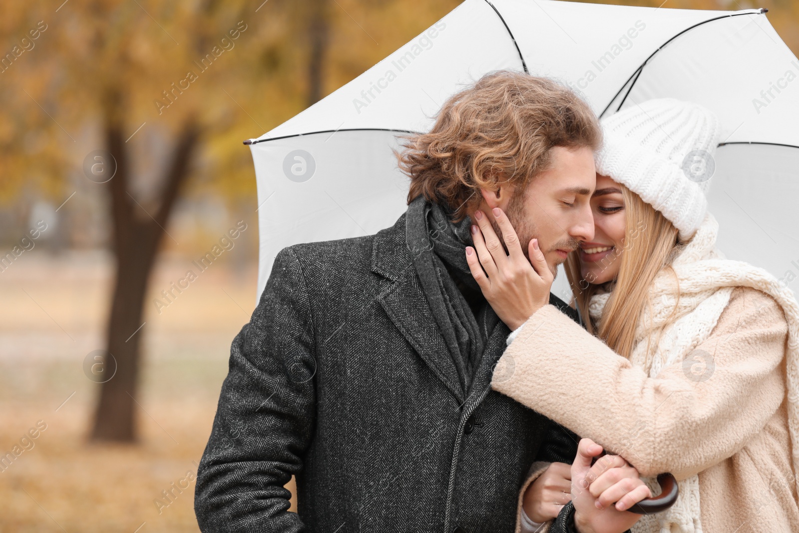 Photo of Young romantic couple with umbrella outdoors on autumn day