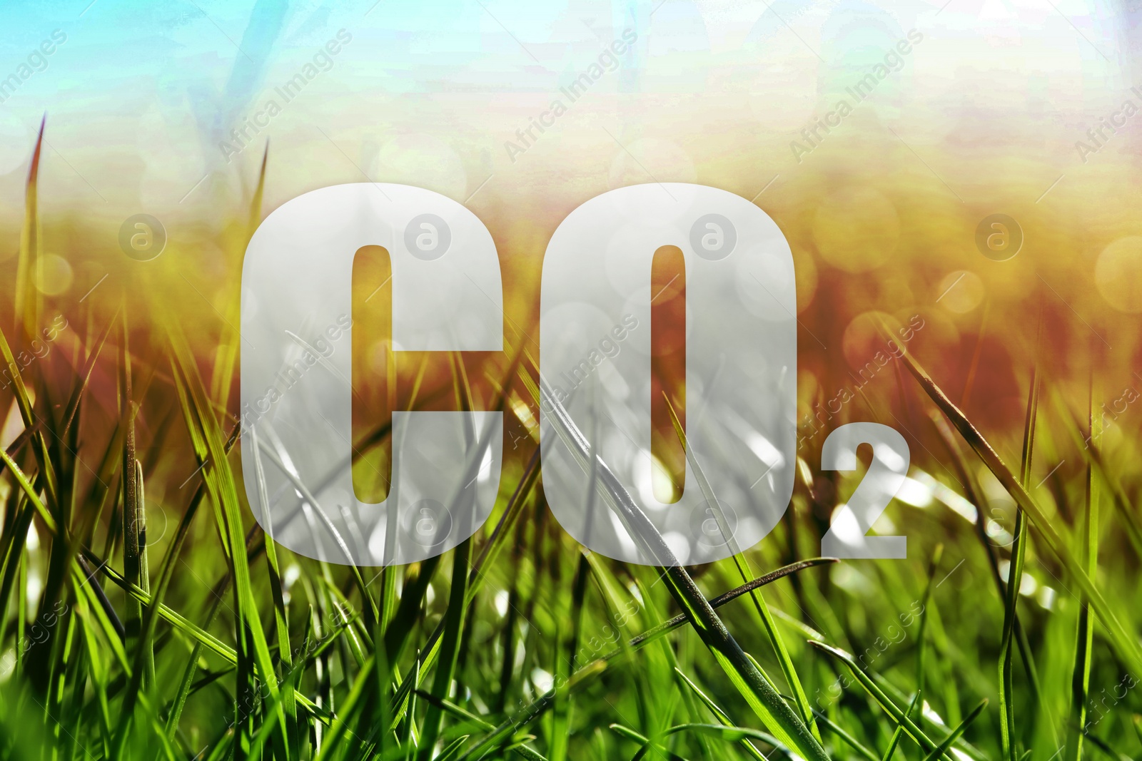 Image of Concept of clear air. CO2 inscription and green grass