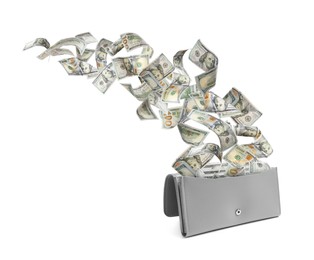 Image of Dollar banknotes flying out from purse on white background