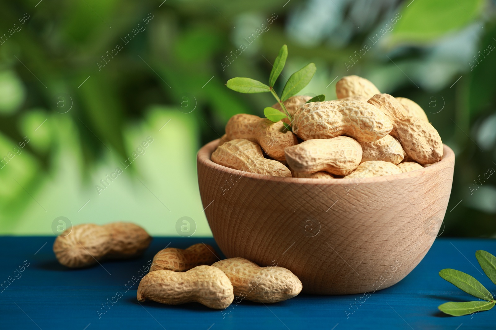 Photo of Fresh unpeeled peanuts in bowl and twigs on blue wooden table against blurred background