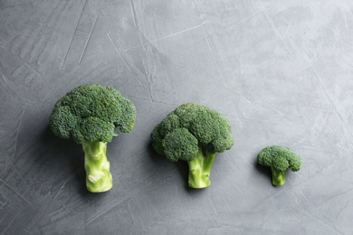 Fresh broccoli florets on grey table, flat lay