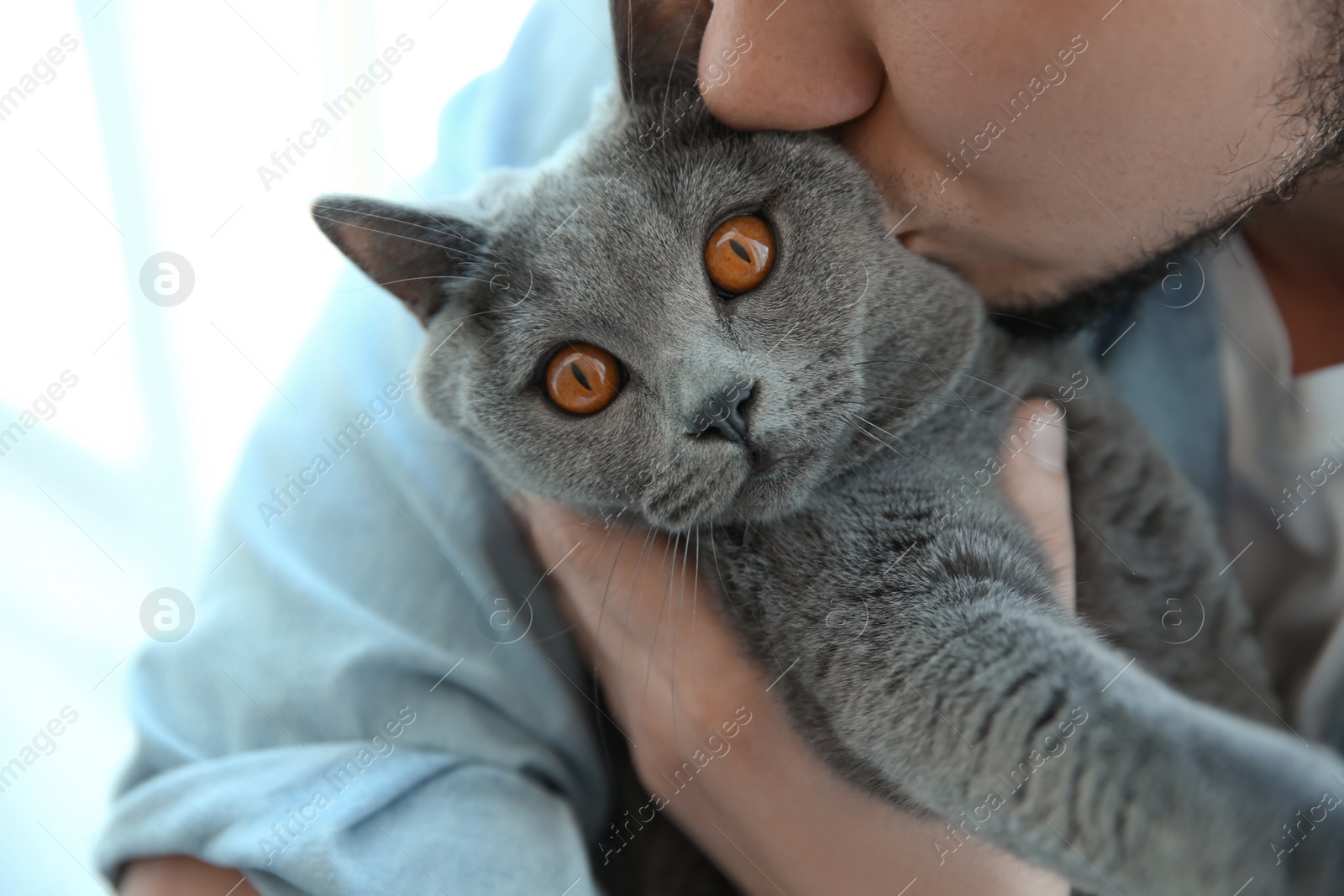 Photo of Man with cute cat on blurred background, closeup