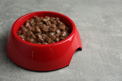 Photo of Wet pet food in feeding bowl on light grey background